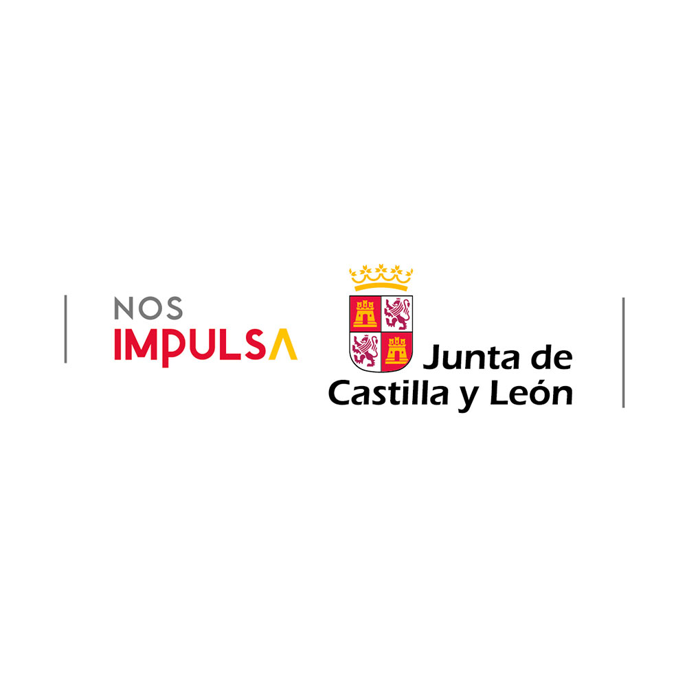 Junta Castilla Leon